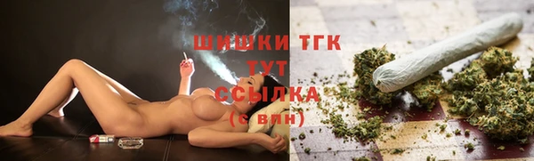 mix Богородицк