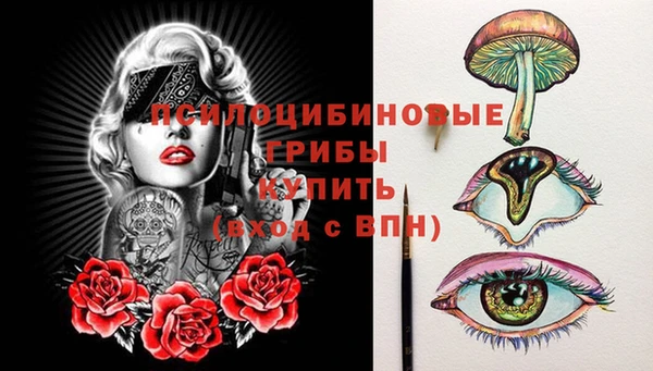 spice Касимов