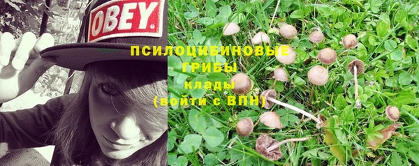 трава Карталы