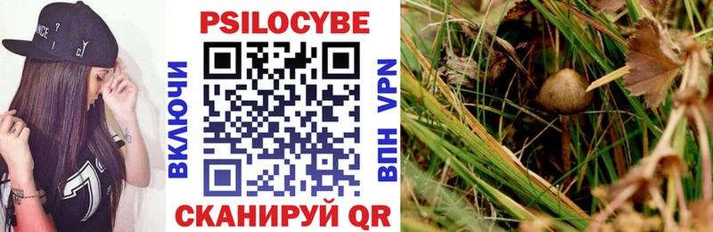 Псилоцибиновые грибы мицелий  Каспийск 