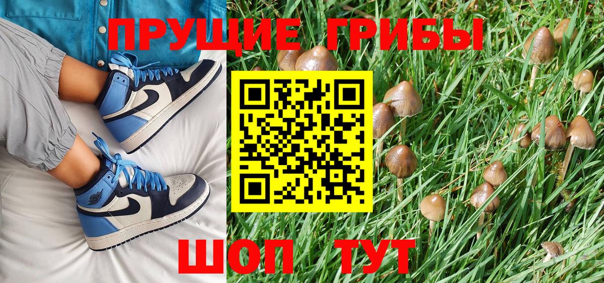 Галлюциногенные грибы мицелий  купить наркотики сайты  Каспийск 