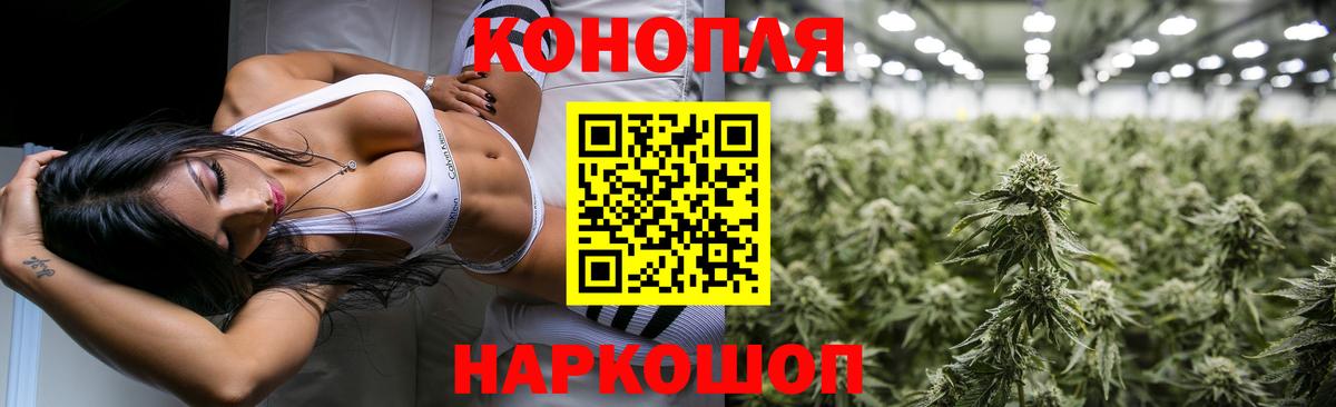 Конопля OG Kush  Каннабис индика  Каспийск 